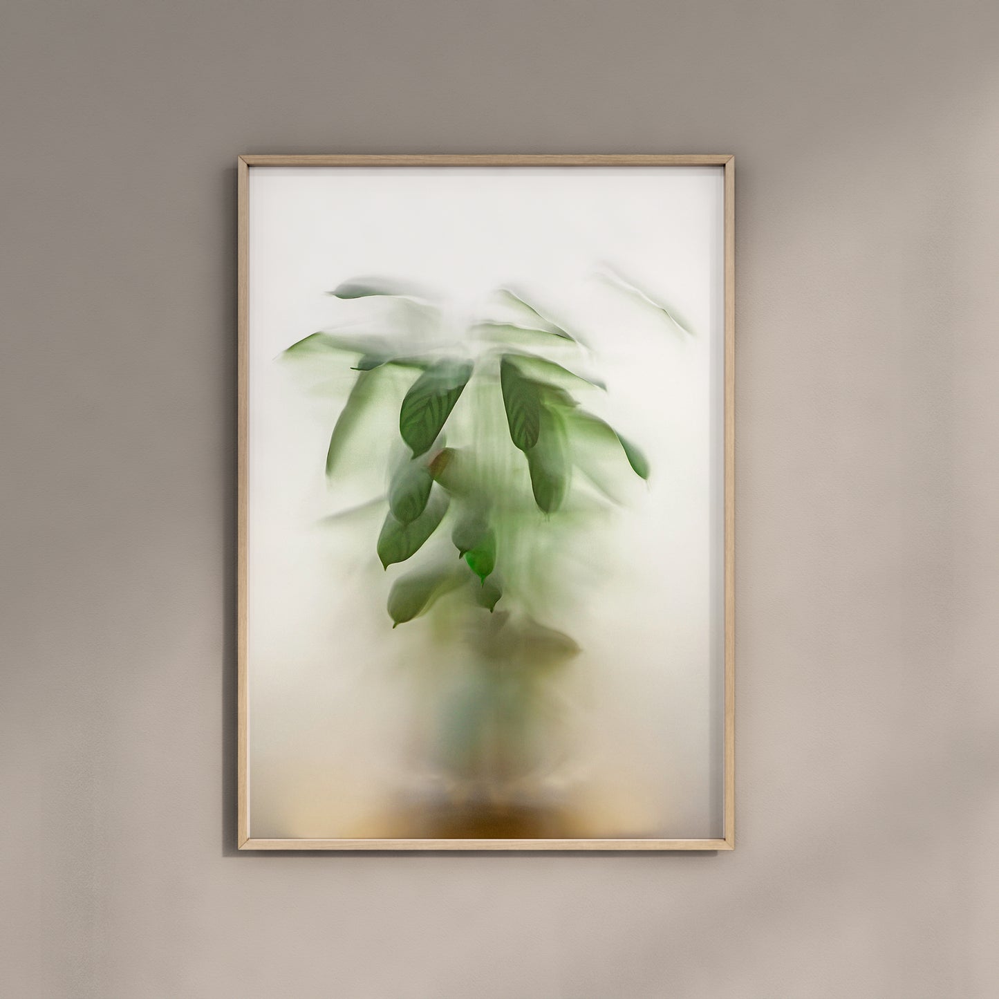 Botanic Still Life collection - calathea